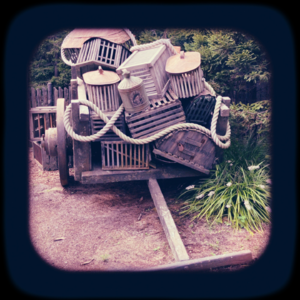 第6期:辛芷蕾得了影后,我们去旅行吧!