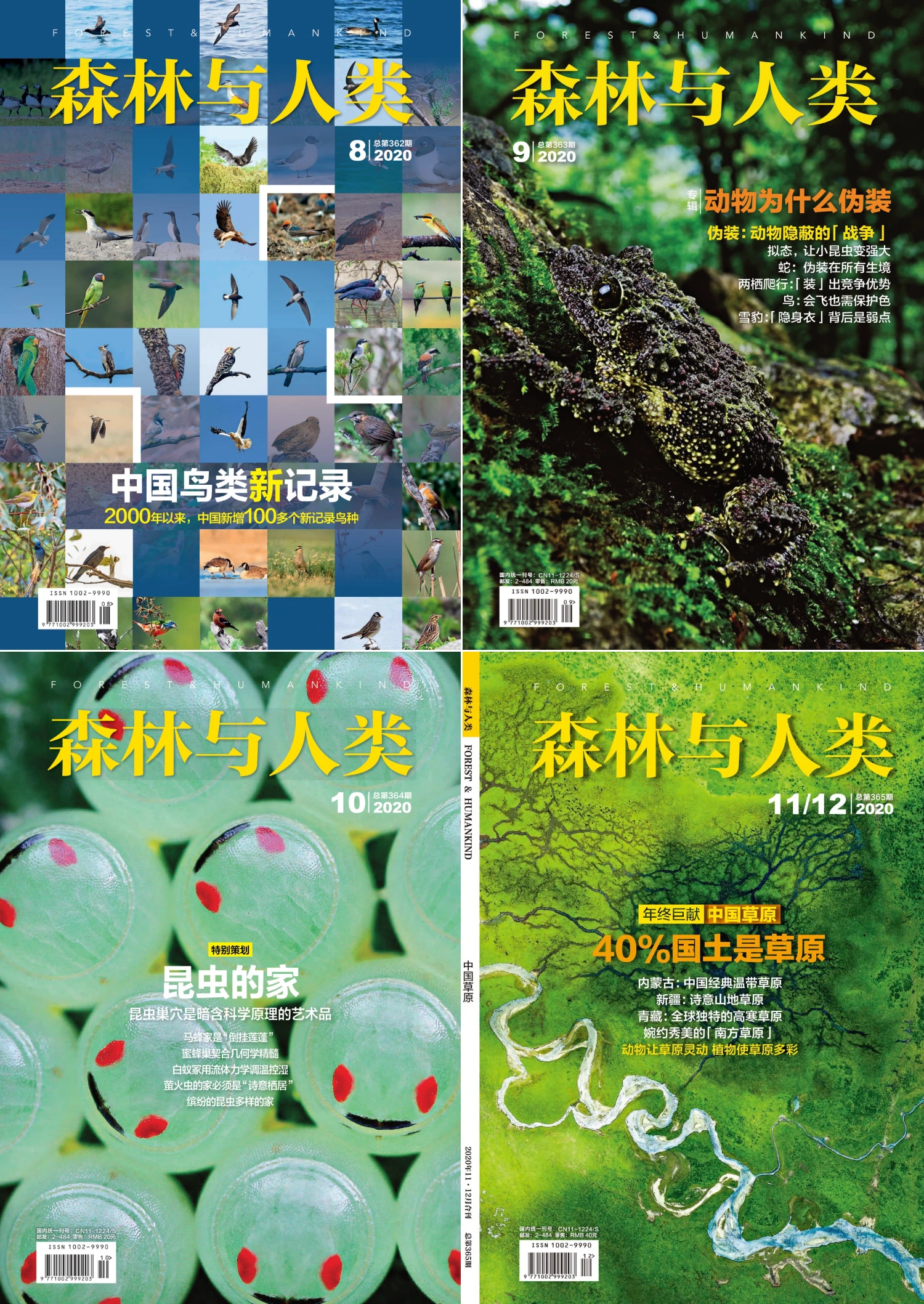 森林与人类 2020全年共12本 PDF