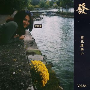 84期 - 菊花爆满山