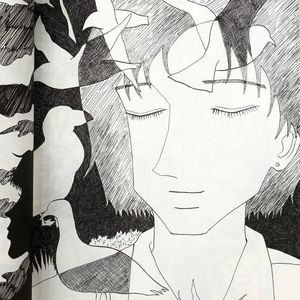 #漫谈50:夏天,就这样度过