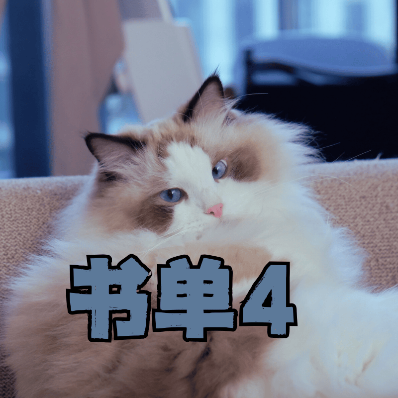 EP4 让你找回慢感的书单：找回片刻缓慢 留住一点时光 episode artwork