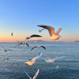 6.你的人生轨迹，藏在每一个微小的习惯里