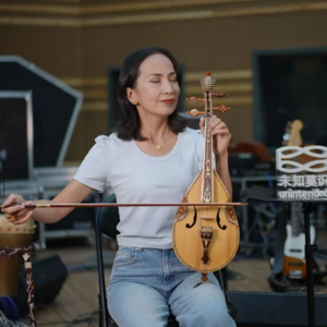 「第102件小众乐器」百灵鸟相伴的音乐精灵|胡西塔尔