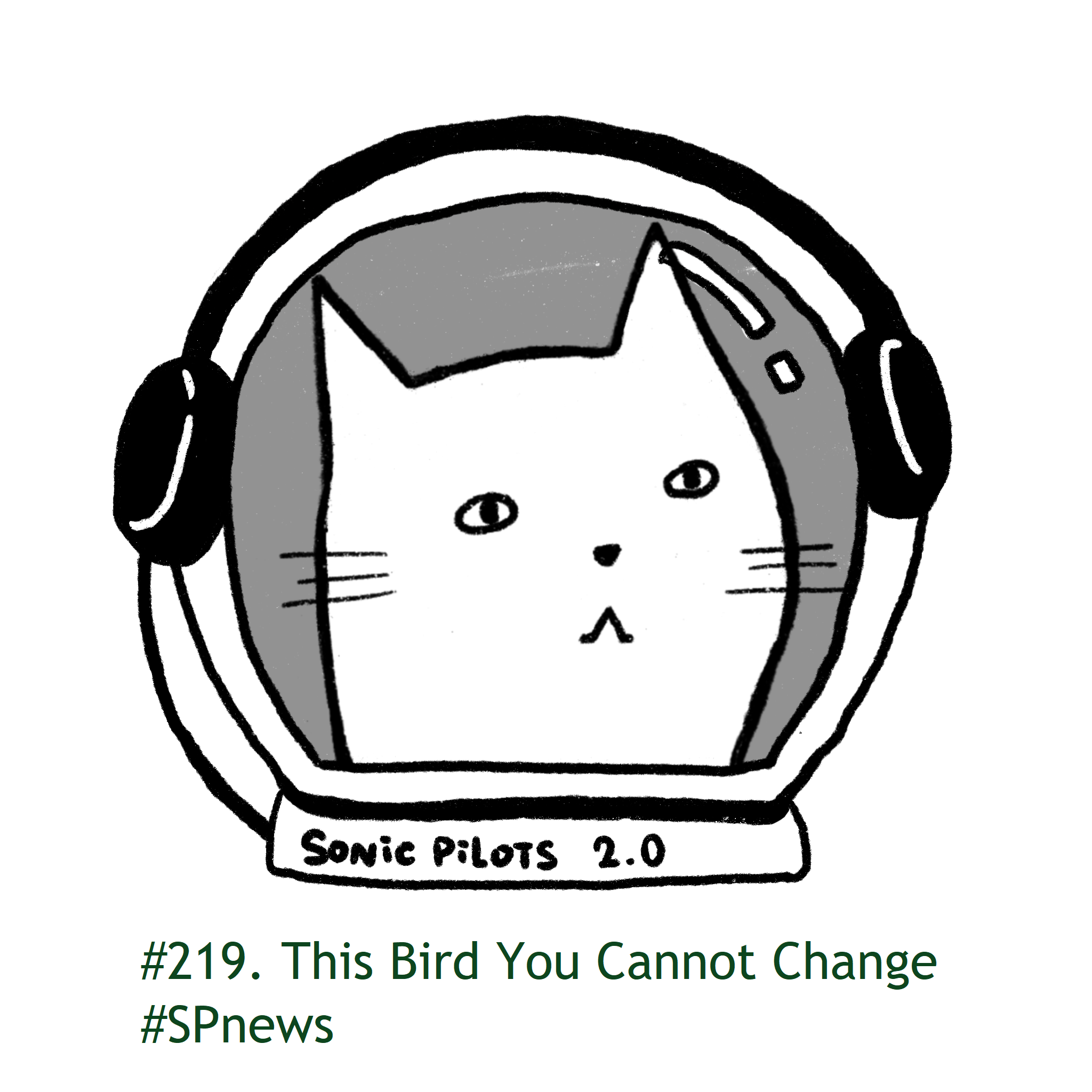 Podcast Cover
