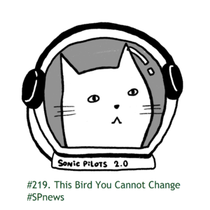 #219. 真皮高达 #SPnews