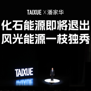 潘家华：化石能源即将退出，风光能源一枝独秀