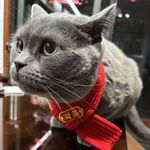 一星带月