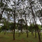 咕噜噜咕噜咕噜