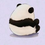 爱吃巧克力的多多