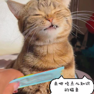 Vol3-知识猫条丨AI领域老是出现的机器学习到底是个啥