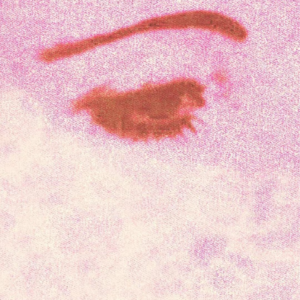 EP10 亦舒女郎：失去已破碎，不可再追