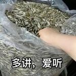 张小命