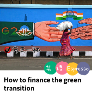 【79】绿色转型如何融资
