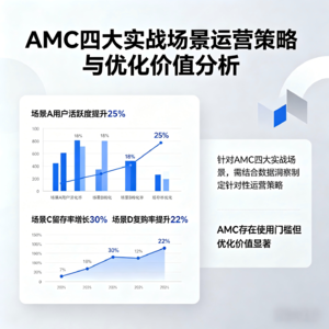 突破投放瓶颈! 详解亚马逊广告AMC应用攻略
