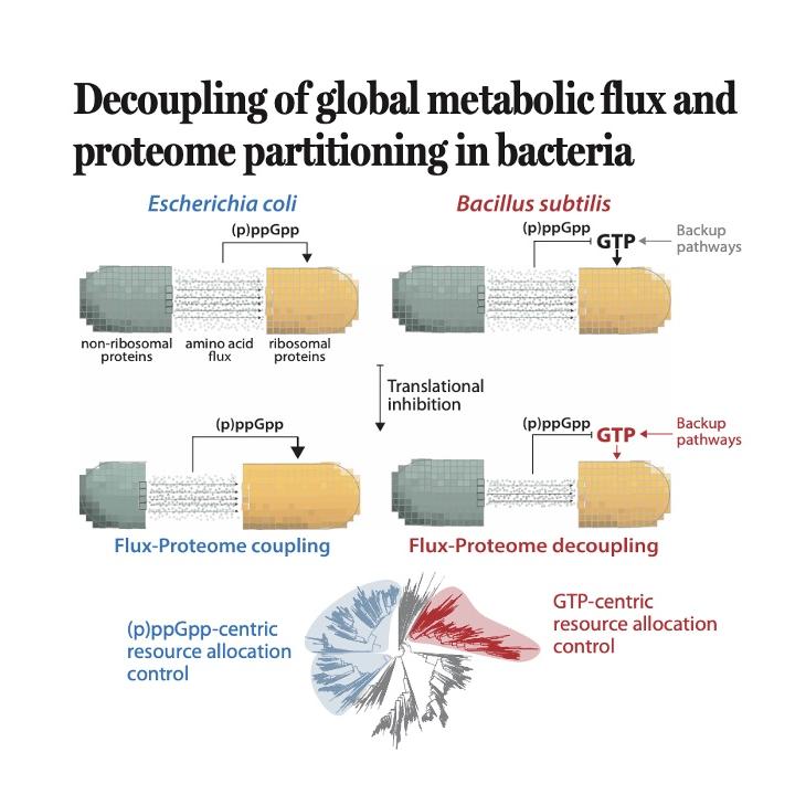 1490-GTP-Driven Resource Allocation in Bacteria episode artwork