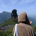 陶陶在听啥