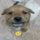 独角少女