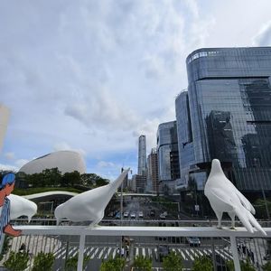 离开深圳:十八个月的故事,离别就是那么出其不意