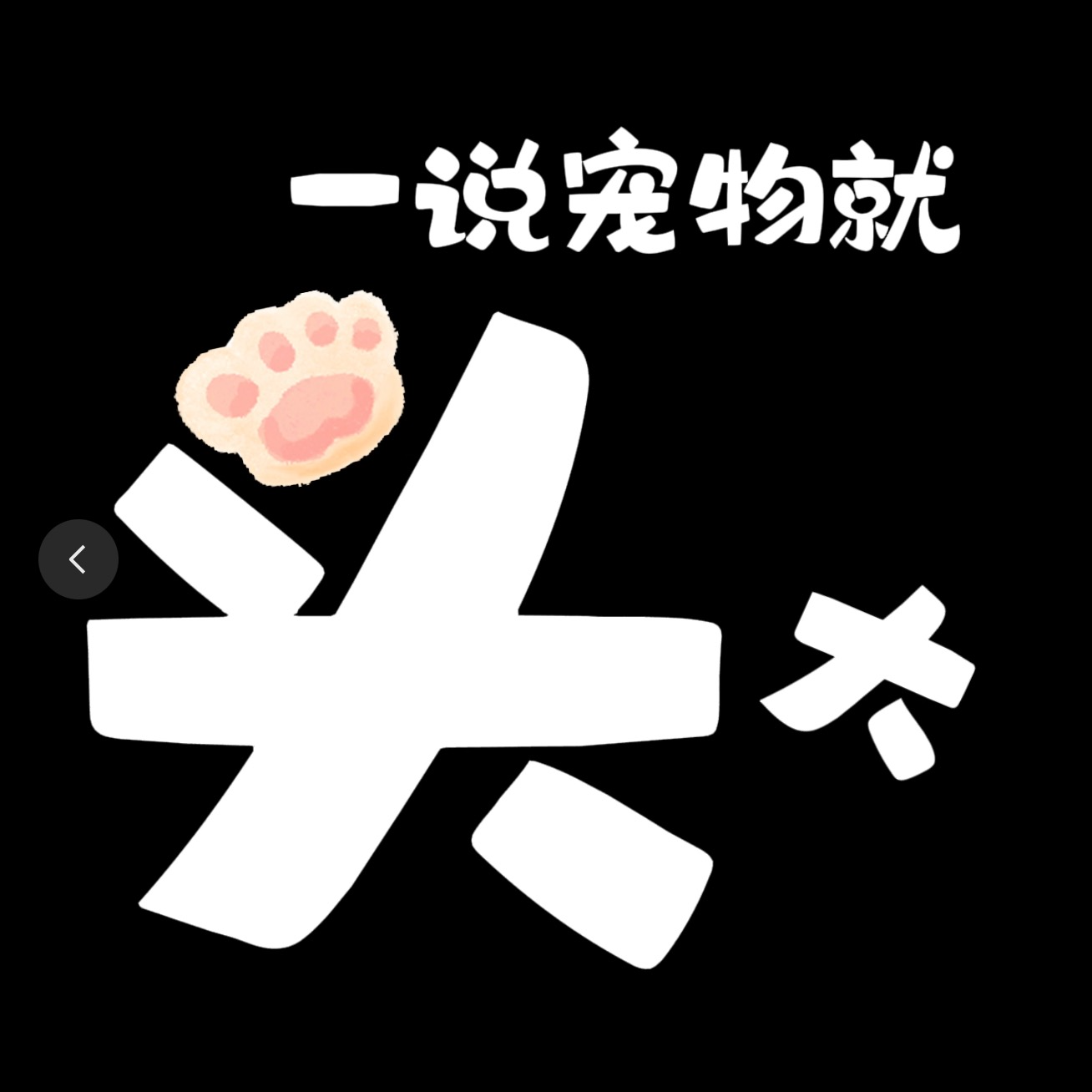 cover of episode 3.一说宠物就头大