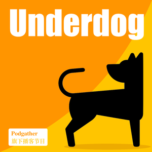 EP8 番外 - 奈飞文化手册-我们只招成年人 - Underdog