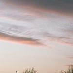 一口十个鸡丝卷