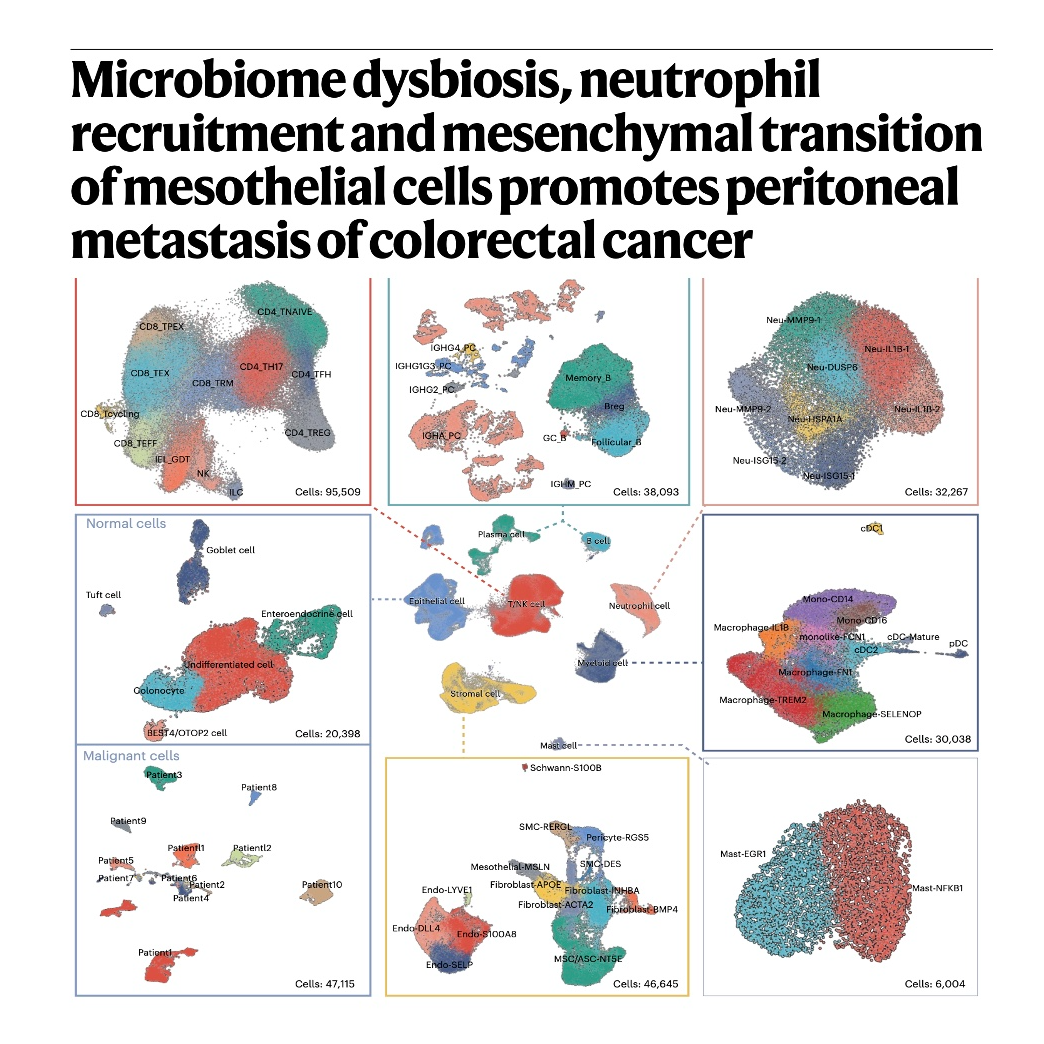 688-Microbial Drivers of Colorectal Peritoneal Metastasis episode artwork