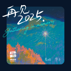 Vol.23 年底总结年初总结都是总结,今天算命明天算命还得认命(2025闲聊)