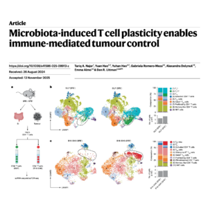 481-Microbiota-Driven TH17 Trans-differentiation