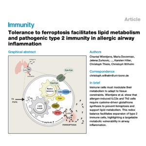 341-Cystine and GPX4 Drive ILC2 Pathogenicity