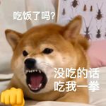 橘子软糖好硬