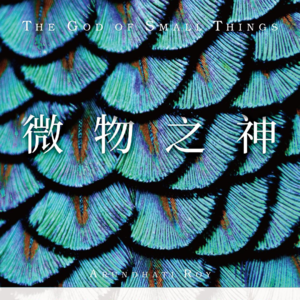 黄昏花园第40期 聊聊《微物之神》和印度的种姓制度