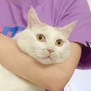 大_XRlQ