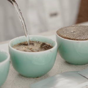 15. 咖啡101 | 当我们喝咖啡的时候，我们在喝什么？