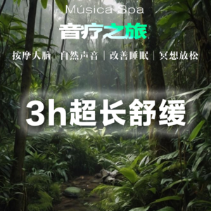 𝙋𝙡𝙖𝙮𝙡𝙞𝙨𝙩 ·音疗之旅 ｜雨林疗愈｜3h沉浸式100%入睡｜助眠｜冥想｜学习｜白噪音｜自然｜放松