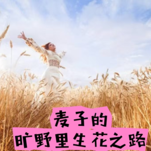 003期想做体制外的流浪者,如今在体制内旷野生花