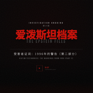 爱泼斯坦档案14：受害者证词：1996年的警告（第二部分）