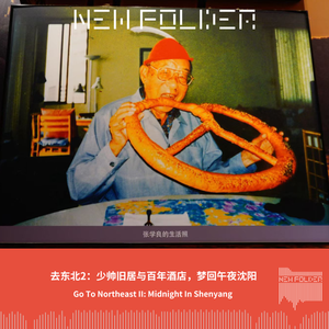 E316 去东北2：少帅旧居与百年酒店，梦回午夜沈阳