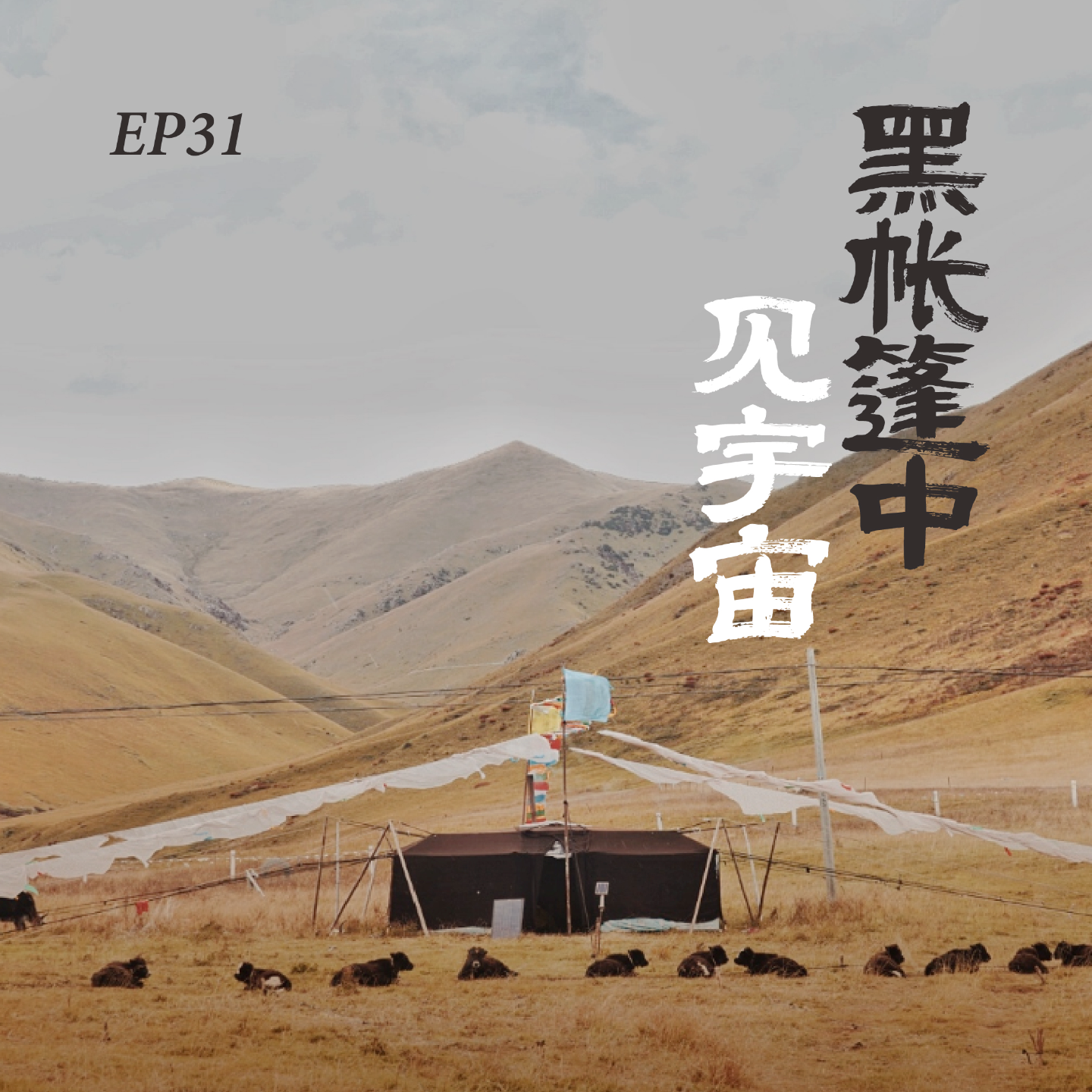 Podcast Cover