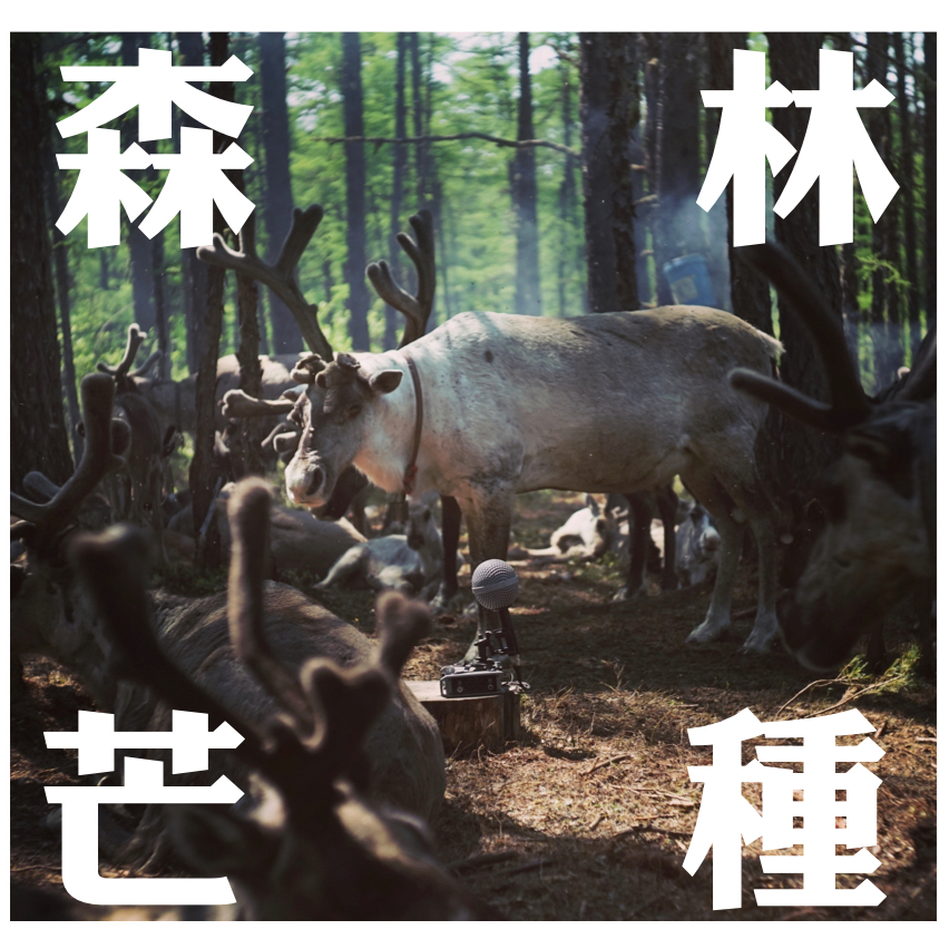 声久村二十四节气之芒种——森林里的芒种 episode artwork