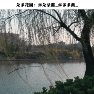 08.小清河里的无声呐喊