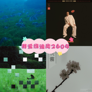 我爱维迪奥2604（及时更新是一种美德）