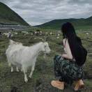 Hui如初