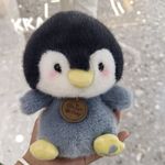 皮皮大大王