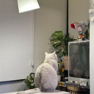 Vol.145 住进新家一年后，这些装修决定做得太对了！（也有避雷）