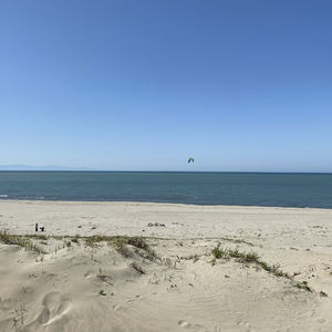 代号：entp的后花园～