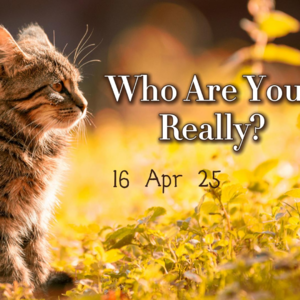 自体整合：个体如何形成稳定的“自我”？英文