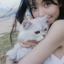 kitten_dr1q