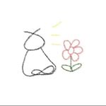 鳗鱼虾