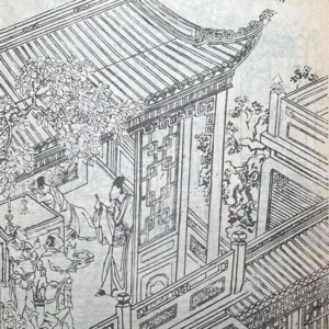 第485期:聊聊聊斋21:《狐嫁女》——书生夜宿荒宅偶逢狐狸嫁女儿