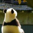 长风来